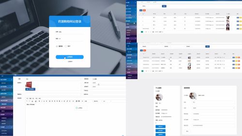 軟件工程畢業(yè)設(shè)計(jì)選題百例（五） 軟件設(shè)計(jì)與制作專題